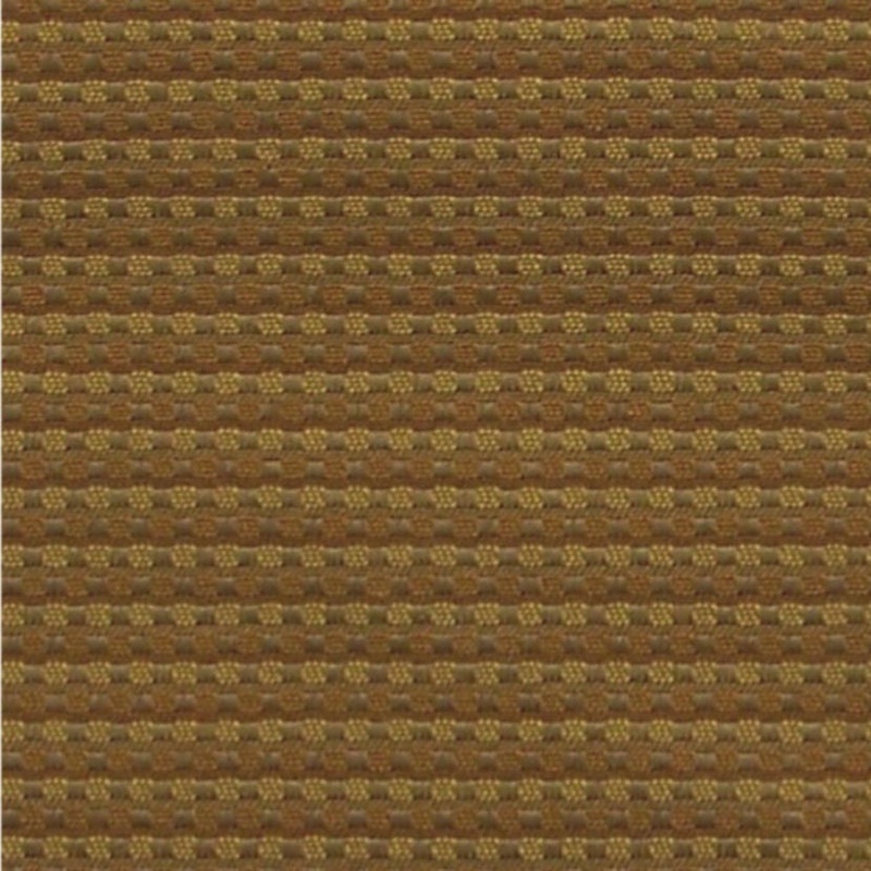 Fabric Remnant of Niche Maize