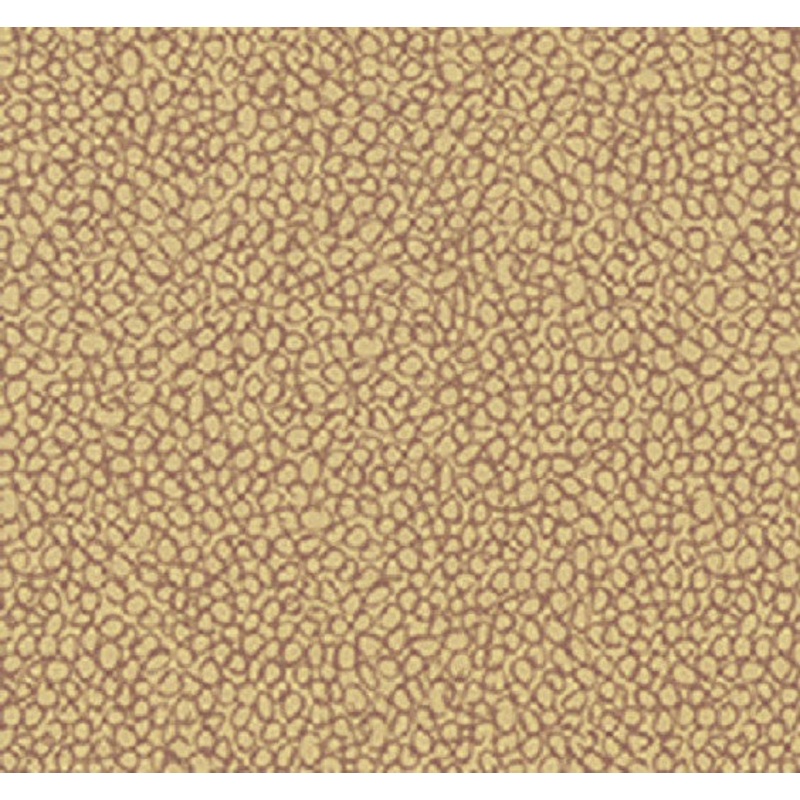 Remnant of Salt Spring Invigorate Tan Upholstery Fabric