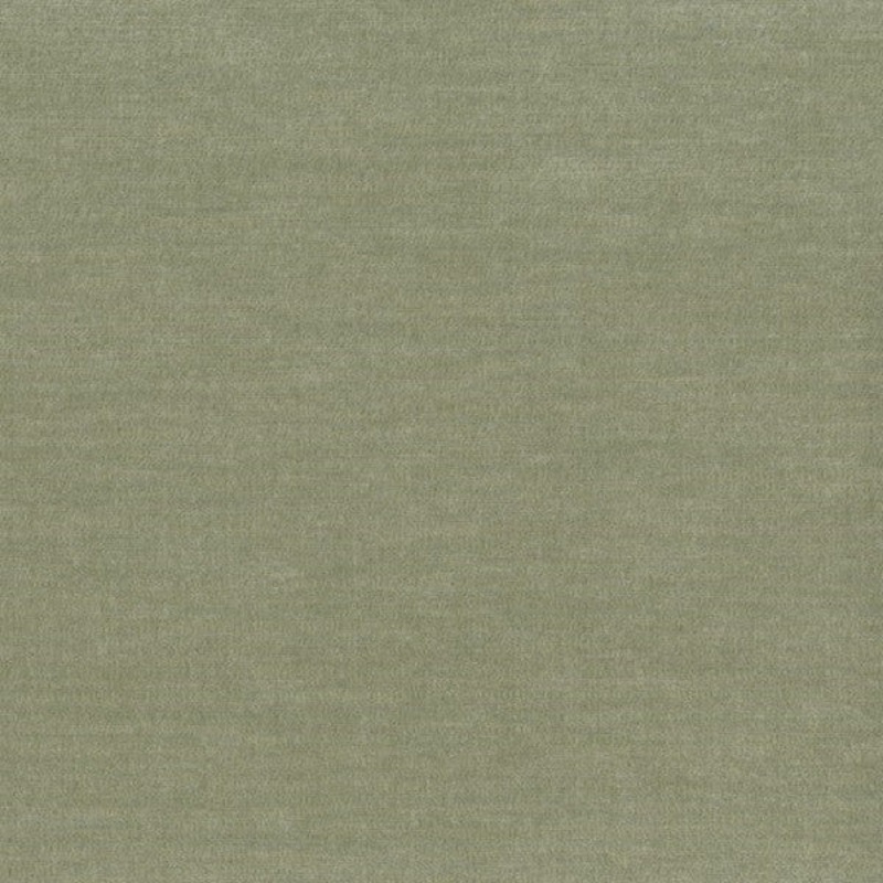 Remnant of Samba Otra Vez Sage Green Upholstery Fabric