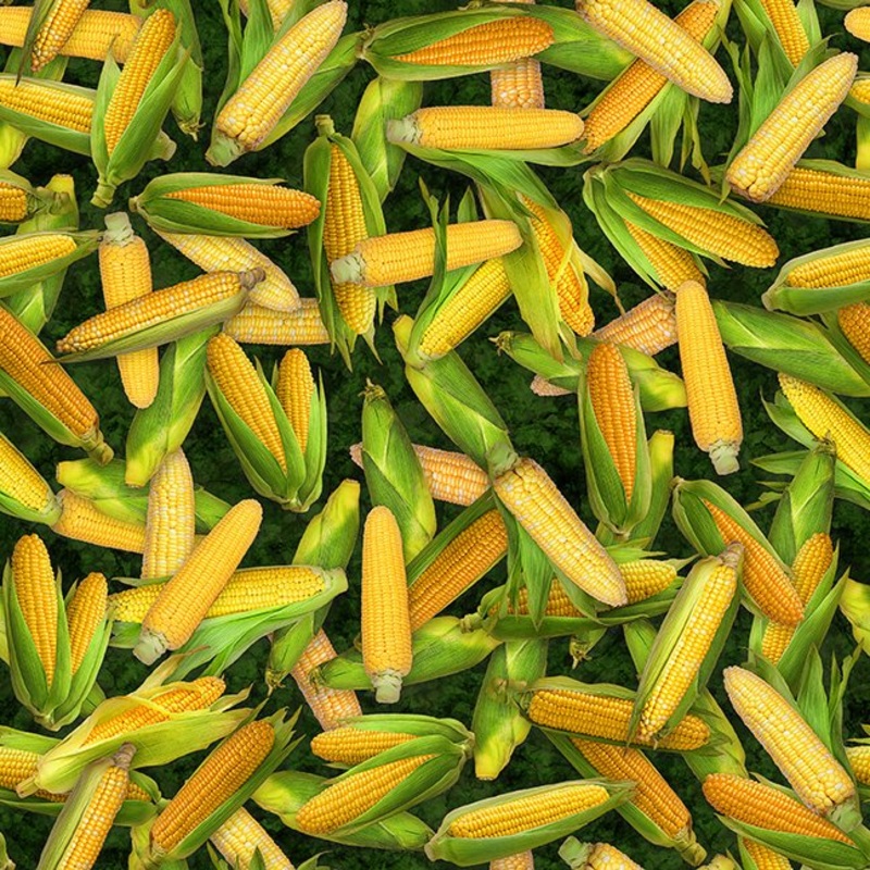2025 All Indiana Shop Hop Corn 31111 - F Navy