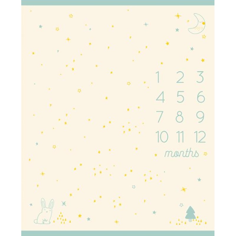 Birthday Panel by Sarah Watts :  Buttercream