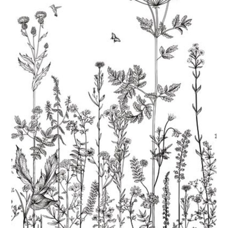 Wild Flowers Wallpaper