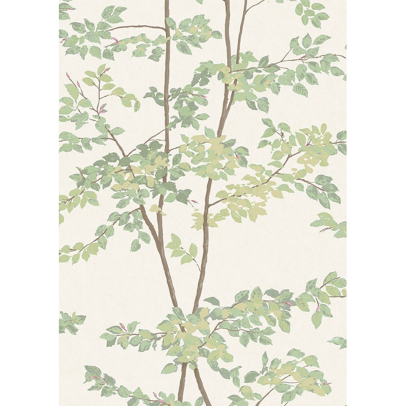 Beech - Extra Wide 51" Fabric