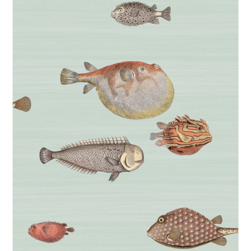 Acquario Wallpaper