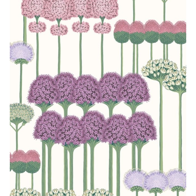 Allium Wallpaper