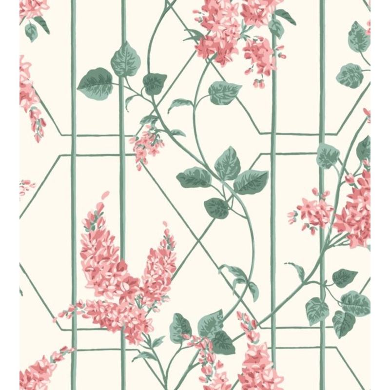 Wisteria Wallpaper