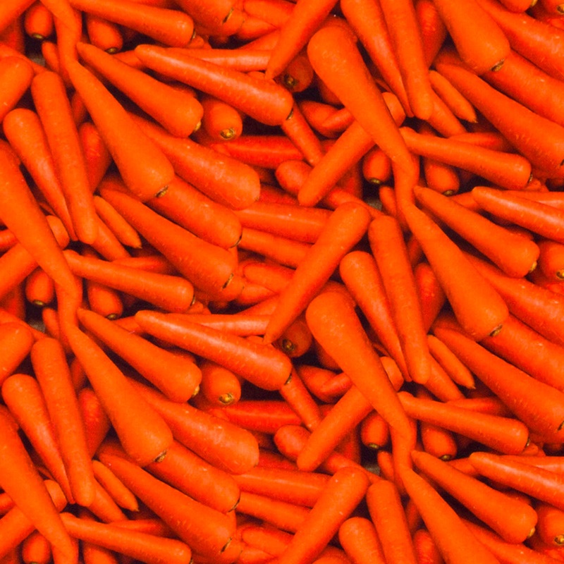 VEGETABLE GARDEN Printed Cotton - Carrot - Orange