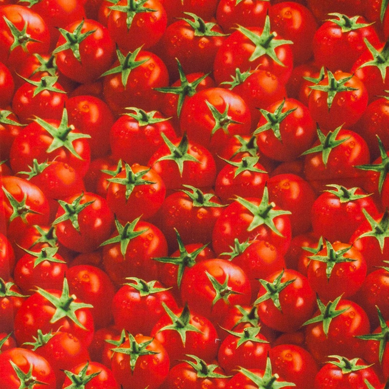 VEGETABLE GARDEN Printed Cotton - Tomato - Red