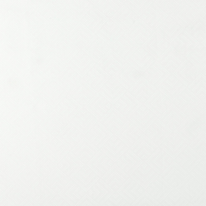Wide-width printed fabric - MONOTONE - 036 - White