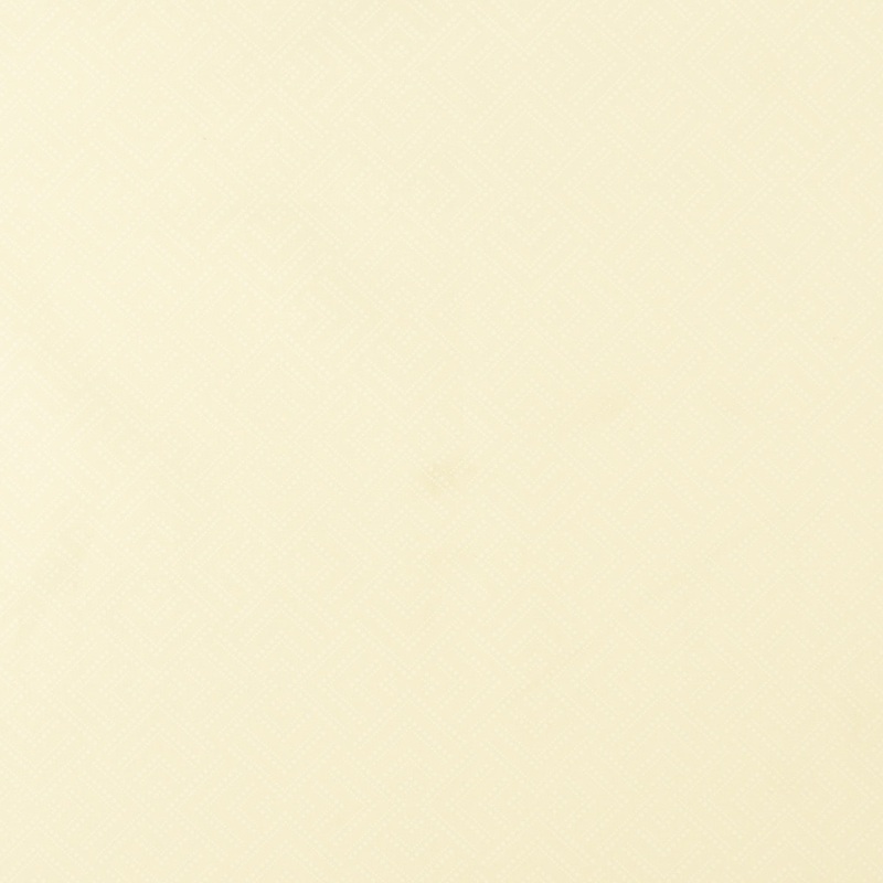 Wide-width printed fabric - MONOTONE - 037 - Ivory