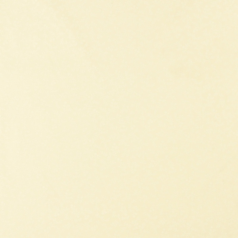 Wide-width printed fabric - MONOTONE - 042 - Ivory