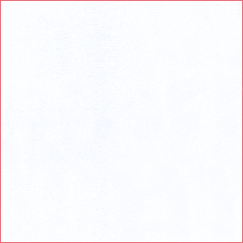 15 YD Bolt-White Shimmer Organza Fabric